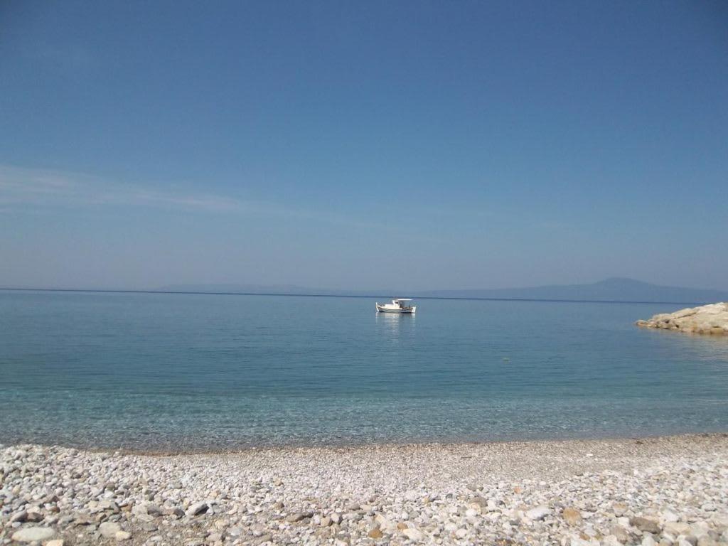 Amber Seaview Villa By The Olive Groves カラマタ エクステリア 写真